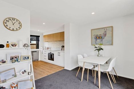 Photo of property in 344c Selwyn Street, Addington, Christchurch, 8024