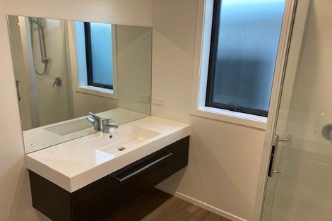 Photo of property in 20 Yvonne Street, Melville, Hamilton, 3206