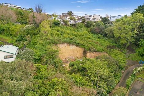 Photo of property in 13 Lucknow Terrace, Hospital Hill, Napier, 4110