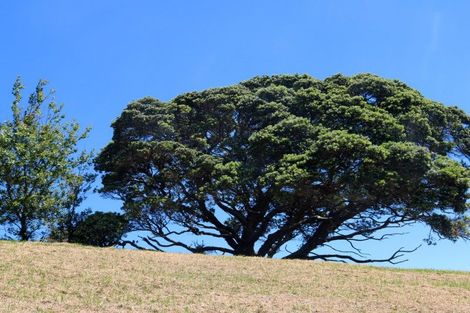 Photo of property in 17 Granada Lane, Langs Beach, Waipu, 0582