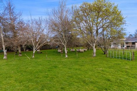 Photo of property in 1248 Egmont Road, Egmont Village, New Plymouth, 4372