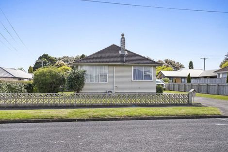 Photo of property in 55 Lismore Street, Merrilands, New Plymouth, 4312