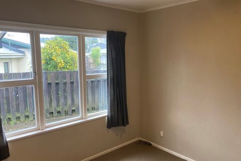 Photo of property in 62 Fitzroy Avenue, Fitzroy, Hamilton, 3206