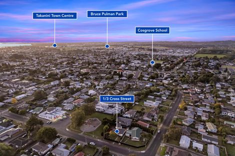 Photo of property in 1/3 Cross Street, Papakura, 2110