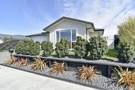 Photo of property in 24 Macphail Avenue, Rangiora, 7400