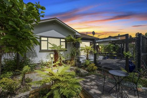 Photo of property in 462 Albert Street, Hokowhitu, Palmerston North, 4410