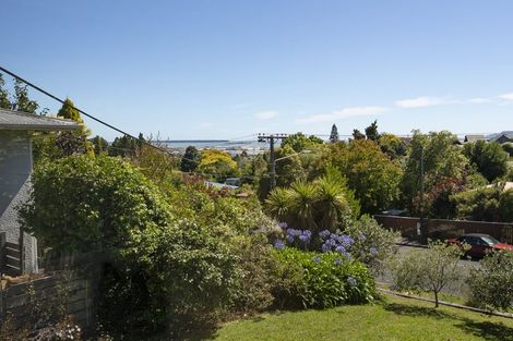 Photo of property in 46 Surrey Road, Richmond, 7020