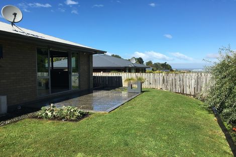 Photo of property in 167 Somerville Street, Waverley, Dunedin, 9013