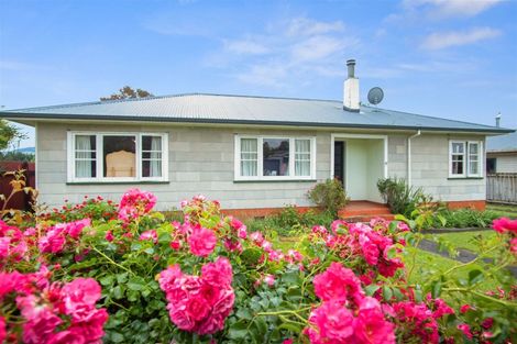 Photo of property in 41a Arapuni Road, Arapuni, Putaruru, 3415