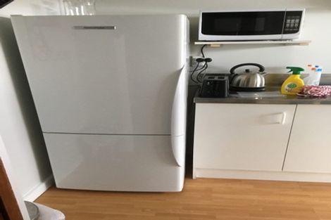 Photo of property in 16 Freyberg Street, Roslyn, Palmerston North, 4414