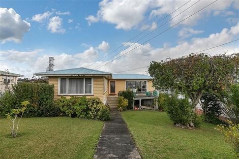 Photo of property in 50 Ellis Avenue, Mount Roskill, Auckland, 1041