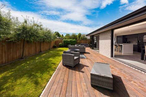 Photo of property in 113a Old Renwick Road, Springlands, Blenheim, 7201