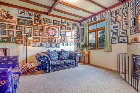 Photo of property in 49 Knowles Street, Terrace End, Palmerston North, 4410