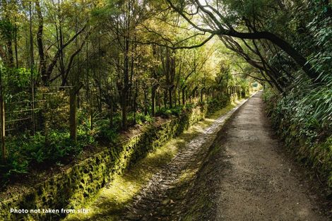 Photo of property in 135 Shetland Street, Wakari, Dunedin, 9010
