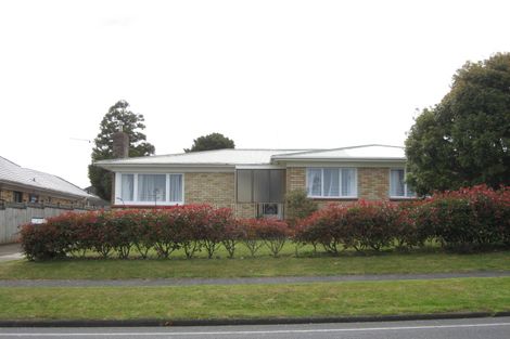Photo of property in 123 Edinburgh Street, Pukekohe, 2120