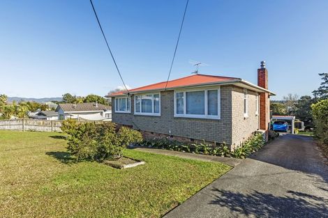 Photo of property in 13 Newington Road, Henderson, Auckland, 0612