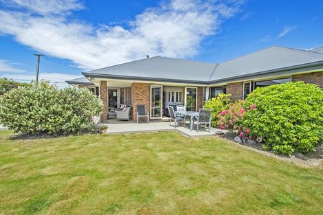 Photo of property in 19 Woodville Street, Leeston, 7632