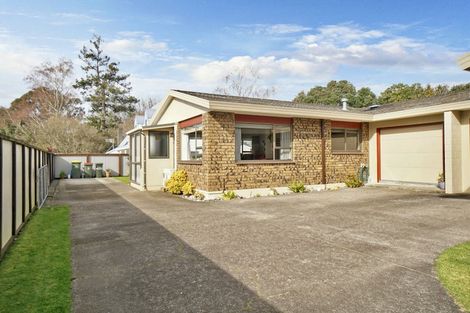 Photo of property in 12b Hastings Street, Te Puke, 3119