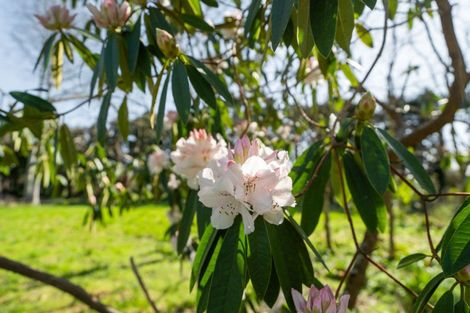 Photo of property in 13 Woodlands Way, Greytown, 5712