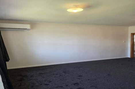 Photo of property in 195 Nikau Street, Saint Leonards, Hastings, 4120