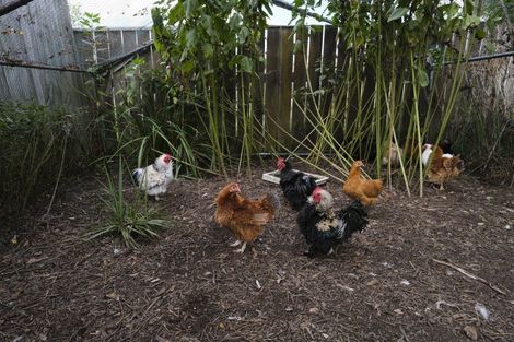 Photo of property in 10437 Route 52, Pongaroa, 4992