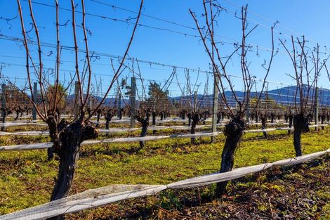 Photo of property in 34a Ferry Road, Days Bay, Lower Hutt, 5013