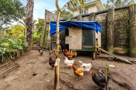 Photo of property in 227 Stout Street, Mangapapa, Gisborne, 4010