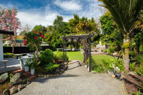 Photo of property in 91 Valley Road, Mangapapa, Gisborne, 4010