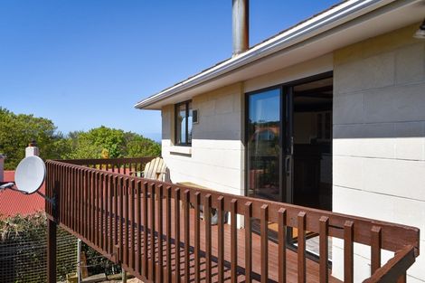 Photo of property in 38 Littlebourne Road, Roslyn, Dunedin, 9010