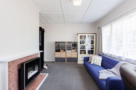 Photo of property in 13 Webb Street, Terrace End, Palmerston North, 4410