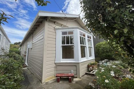 Photo of property in 7 Carrington Street, Mount Cook, Wellington, 6021