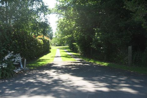 Photo of property in 313 Plummers Point Road, Whakamarama, Tauranga, 3172