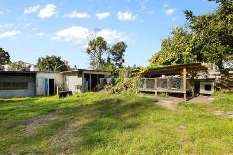 Photo of property in 17 Steadman Street, Taumarunui, 3920
