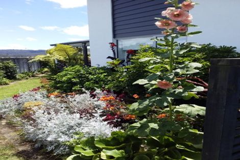 Photo of property in 20 Roseberry Place, Whitianga, 3510