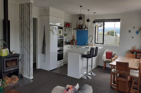 Photo of property in 50 Titri Road, Waihola, Outram, 9073