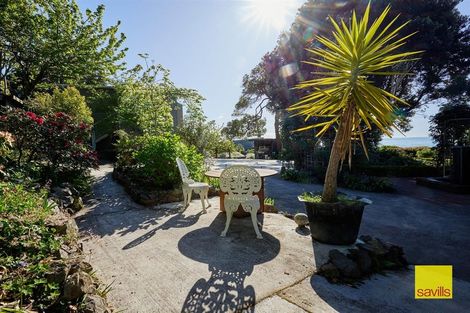 Photo of property in 1824 State Highway 1, Oaro, Kaikoura, 7374