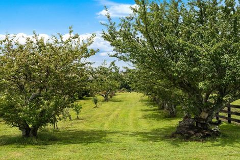Photo of property in 48 Travers Road, Te Kauwhata, 3782