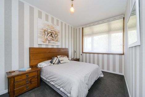 Photo of property in 93 Shamrock Street, Takaro, Palmerston North, 4412