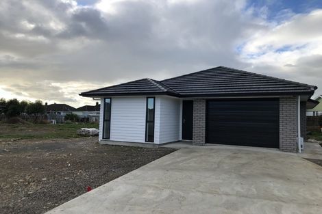 Photo of property in 76 Hinemoa Street, Levin, 5510