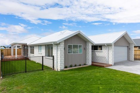 Photo of property in 62 Whareatea Road, Redwoodtown, Blenheim, 7201