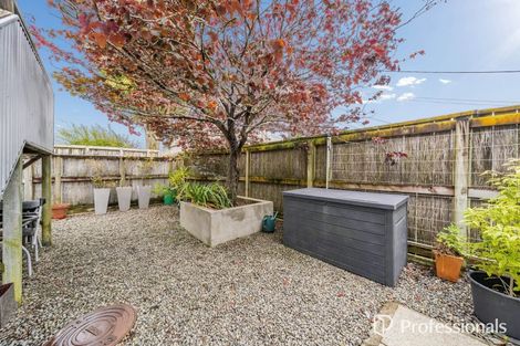 Photo of property in 1a/10 Park Avenue, Epuni, Lower Hutt, 5011