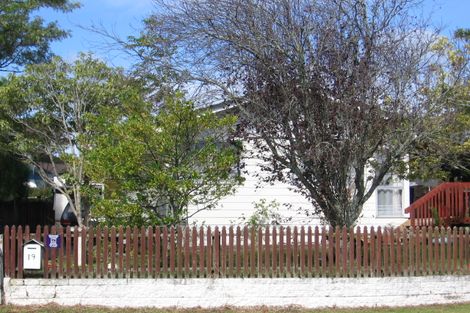 Photo of property in 19 Larissa Avenue, Henderson, Auckland, 0610