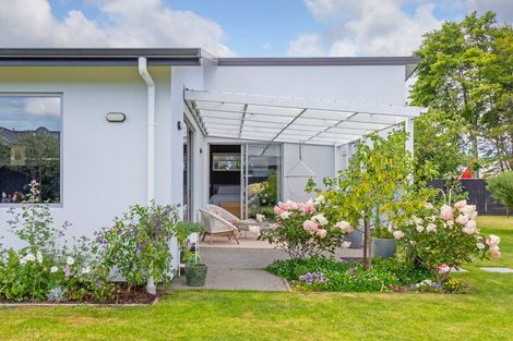 Photo of property in 20 Whatman Avenue, Masterton, 5810