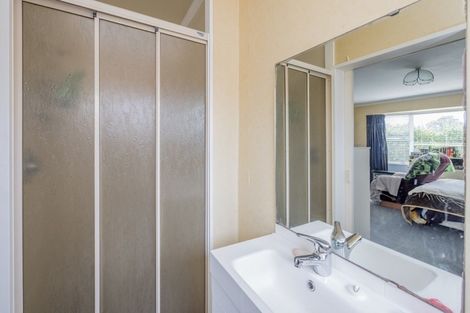 Photo of property in 4 Cornwall Street, Levin, 5510