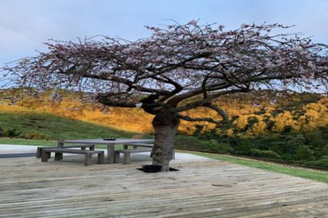 Photo of property in 128d Otonga Valley Road, Raglan, 3295