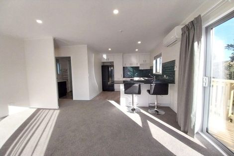 Photo of property in 47 Frobisher Street, Island Bay, Wellington, 6023