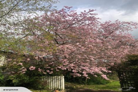 Photo of property in 20 Main Street, Greytown, 5712