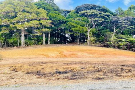 Photo of property in 165 Poyner Road, Makarau, Warkworth, 0981