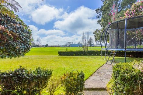 Photo of property in 7 Portsmouth Place, Matamata, 3400