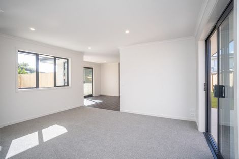 Photo of property in 806a Main Street, Roslyn, Palmerston North, 4414